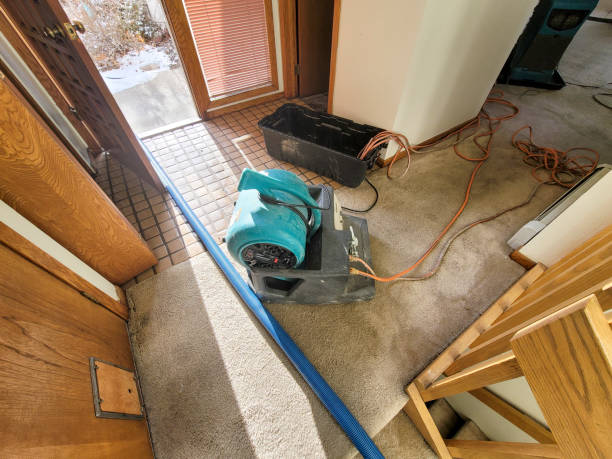 Trusted Loris, SC Water damage restoration Experts