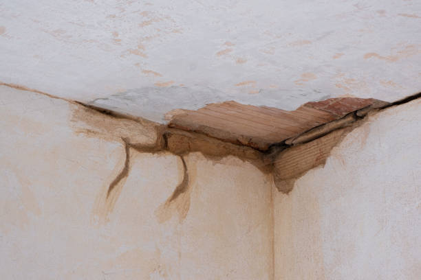 Best Flooded house restoration  in Loris, SC